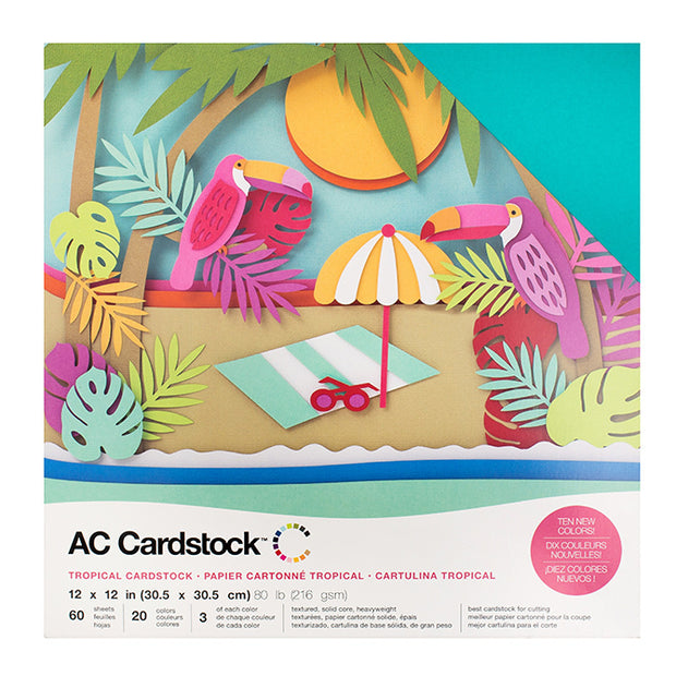 Paquete American Crafts Cardstock Pack Variety (6 Paquetes)