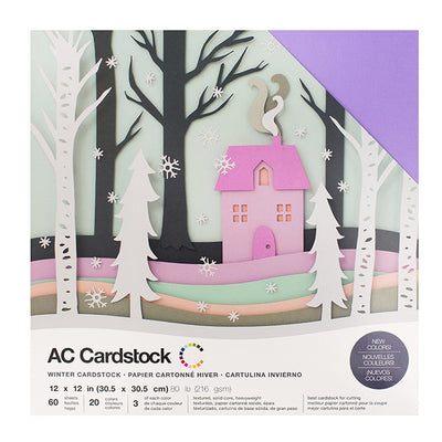 American Crafts Variety Cardstock Pack 12"X12" 60/Pkg Winter
